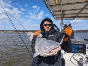 Invasive Blue Catfish caught on the Vista Lady