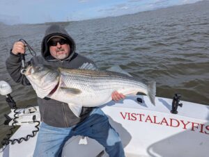 Rockfish caught on the Vista Lady